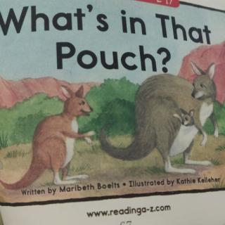 What's in That Pouch