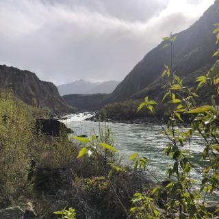 两山排闼送青来