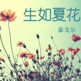 《生如夏花》作者：泰戈尔