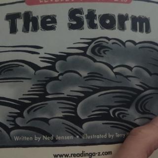 The Storm