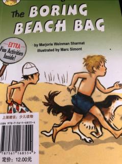 the Boring Beach Bag