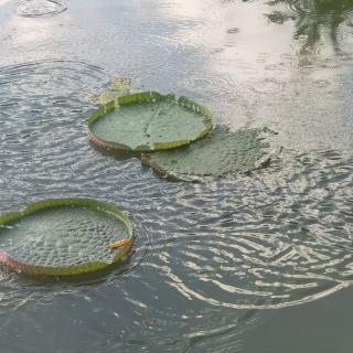 清静经