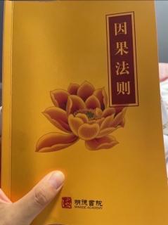 《因果法则》