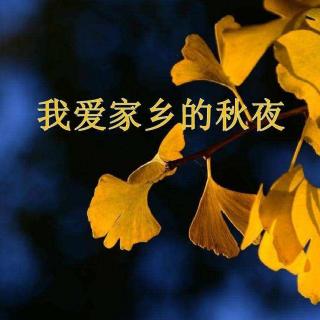 《我爱家乡的秋夜》