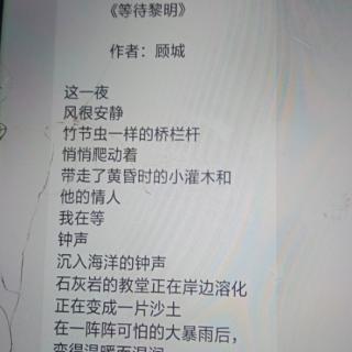 《等待黎明》