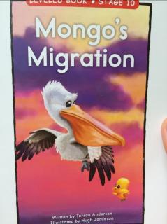 Mongo's Migration