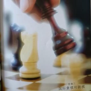 图像3:国际象棋和跳棋