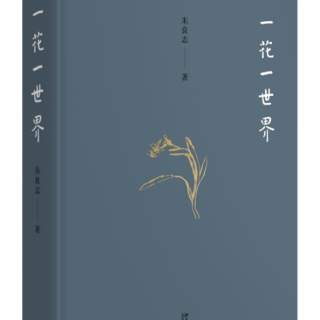 《一花一世界》让世界敞亮（六）