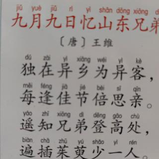 暑假古诗打卡1《九月九日忆山东兄弟》