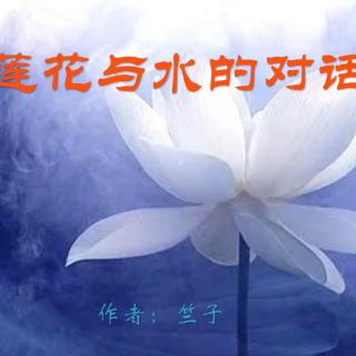 《莲花与水的对话》作者：竺子 诵读：大连伙计