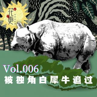 “被独角白犀牛追过”·花样更年华Vol.006