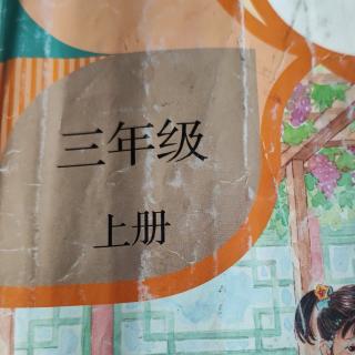 5《铺满金色巴掌的水泥道》