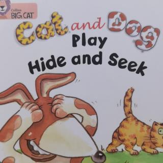 Big Cat-Cat and dog play hide and seek