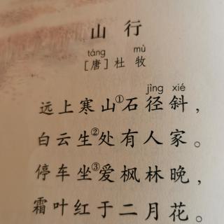 暑假古诗打卡4《山行》