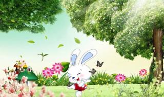 哈贝睡前故事《小兔子的大花园》