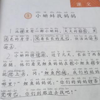 1小蝌蚪找妈妈