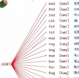 自然拼读a