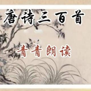 唐诗三百首|送綦毋潜落第还乡 王维