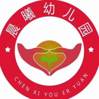 科学领域（一）科学探究