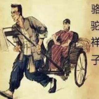 骆驼祥子一老舍（42）