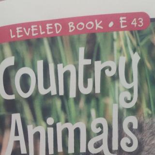 Country Animals