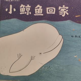 卡蒙加幼教集团吕老师《小鲸鱼回家》