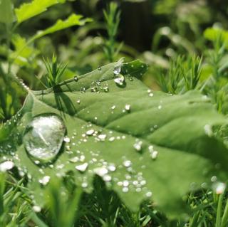 白煦辰《田家四季歌》《雷阵雨》《夏天的夜晚》