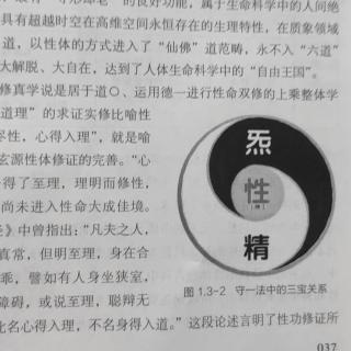 人体全息信息体学（3）