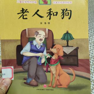 斑鸠和小麻雀