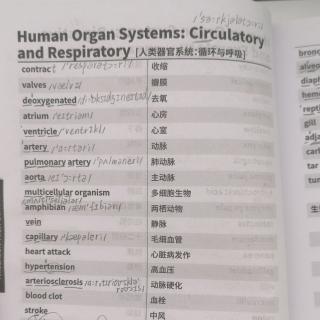 Human Organ Systems: Circulatory and Respiratory人类器官系统:循环与呼吸