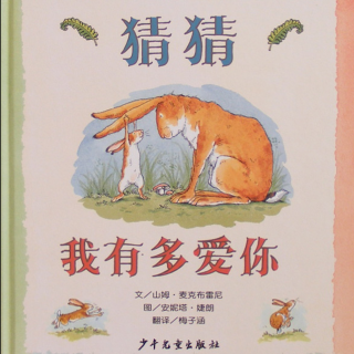 《猜猜我有多爱你》