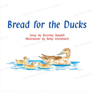 Bread for the ducks故事