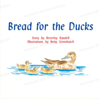 Bread for the ducks重点摘要