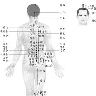 膀胱经穴道走向1.4