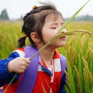 妍妍解说电影《长安三万里》