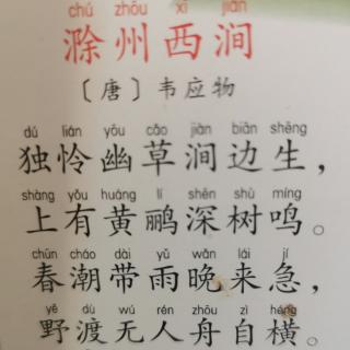 暑假古诗打卡12《滁州西涧》