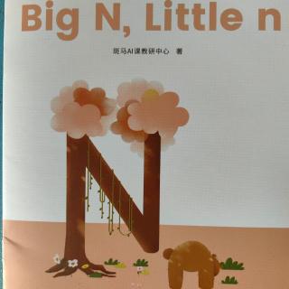 Big N，LittIe  n