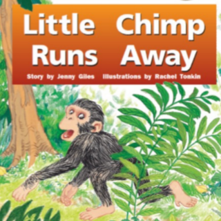 Little chimp runs away重点摘要