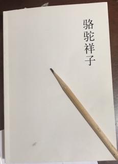 18 老舍著《骆驼祥子》六