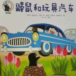 鼹鼠和玩具汽车～高宸轩
