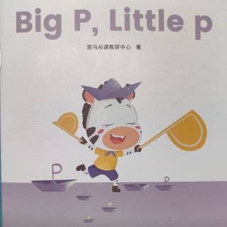 Big P，LittIe  p
