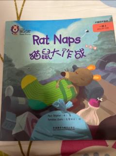 Rats Naps