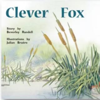 Clever fox故事