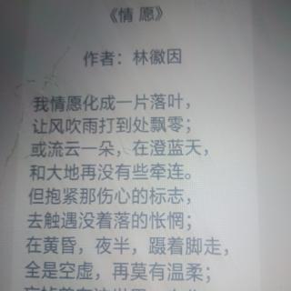 《情愿》