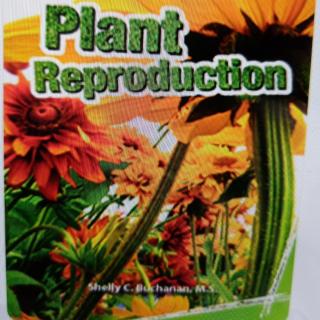 Plant  Reproduction 2