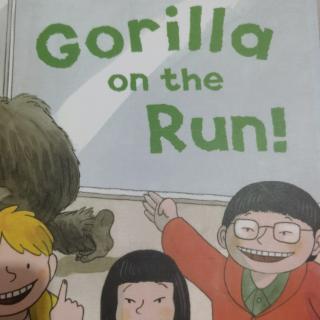 打卡82  Gorilla on the run