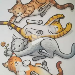 四只猫🐱的故事