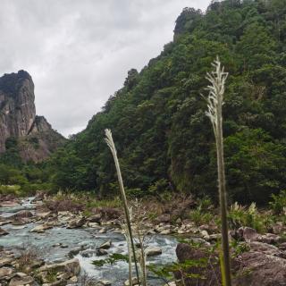 《在山的那边》王家新    诵读  徐公