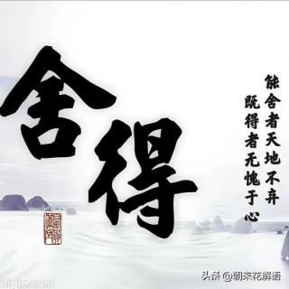 今日花语:舍得