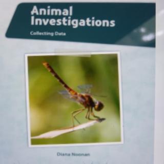 Animal Investigation